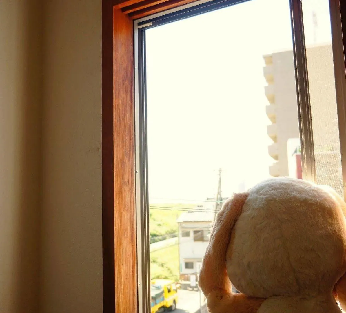 Osaka Tomato House Female Shared Dorm Room 